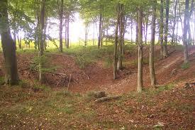 King's Wood