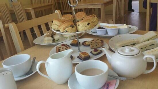 Shelly's Tea Rooms