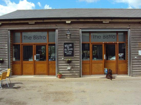 Kate At The Bistro