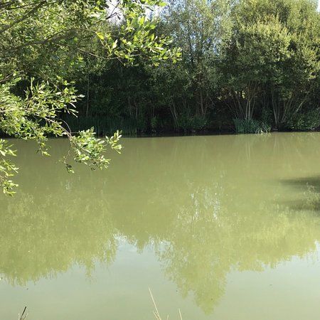 Claygate Lakes