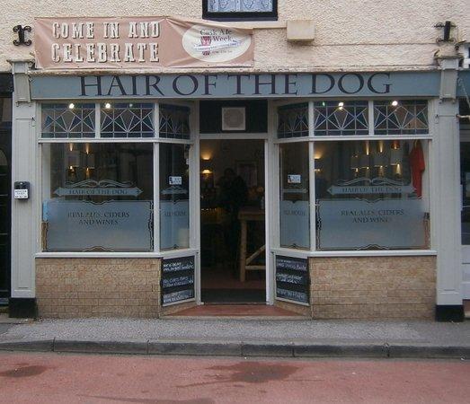 Hair Of The Dog