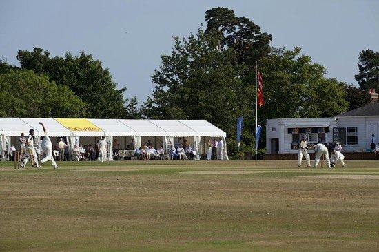 Sevenoaks Vine Cricket Club