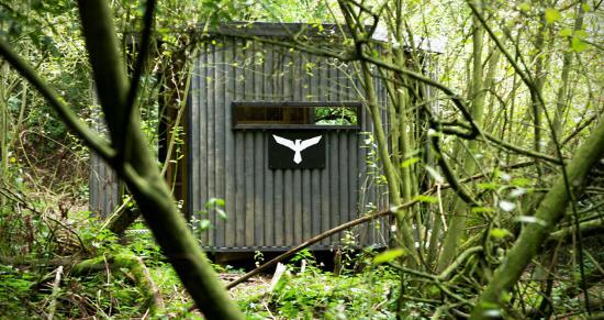 Delta Force - Tunbridge Wells Paintball Centre