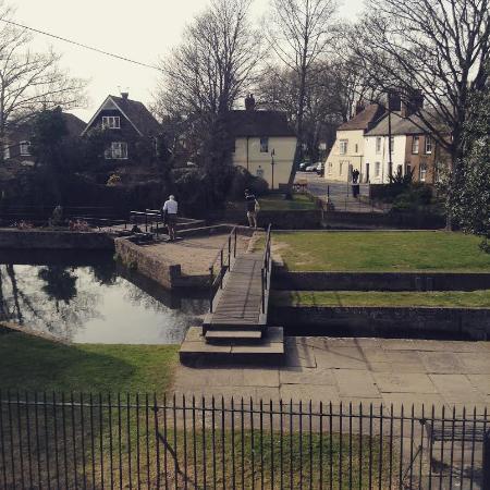 Abbots Mill Garden