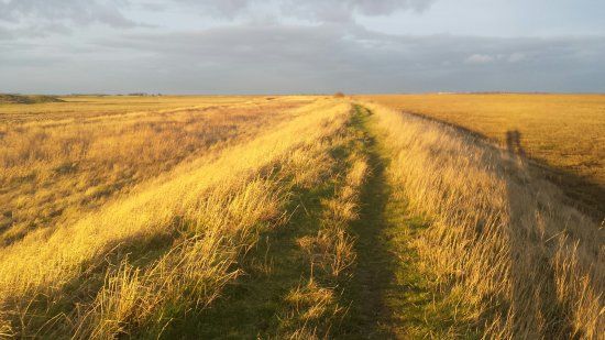 The Swale National Nature Reserve