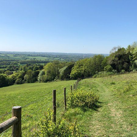 Kemsing Down Nature Reserve